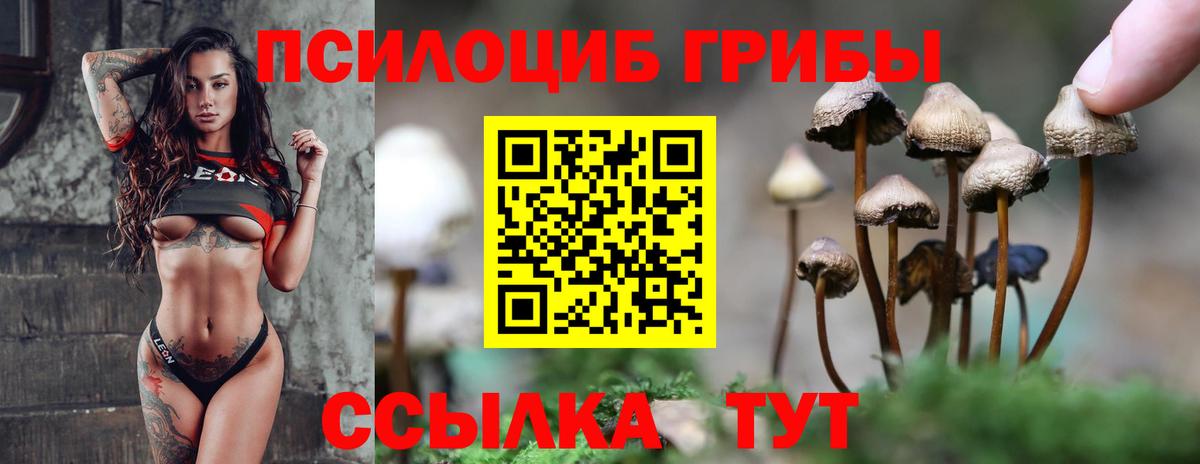 Псилоцибиновые грибы GOLDEN TEACHER  Псилоцибиновые грибы Cubensis  Вход с VPN  Октябрьский 